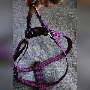Halo Adjustable Purple Dog Harness